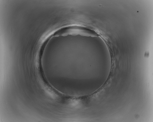 X0000095110247200712071224