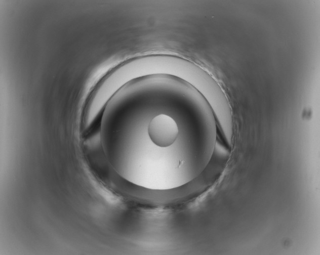 X0000095110248200712071224