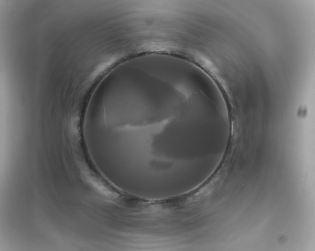 X0000095110249200712071224