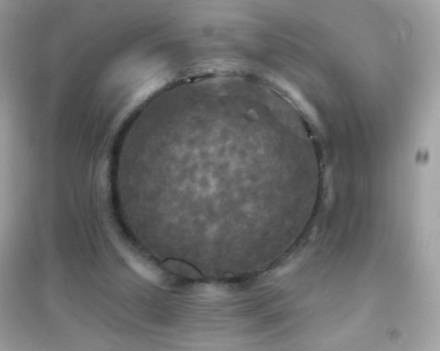 X0000095110250200712071224