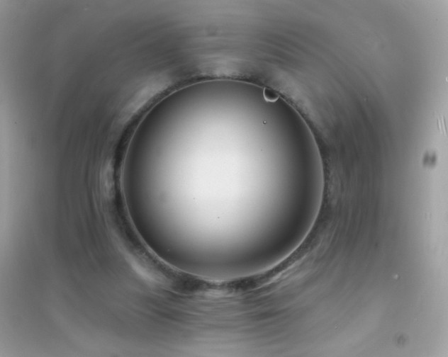 X0000095110251200712071224