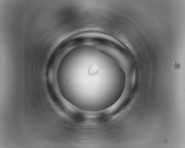 X0000095110252200712071224