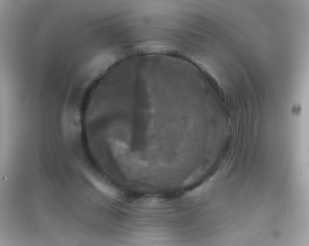 X0000095110254200712071224