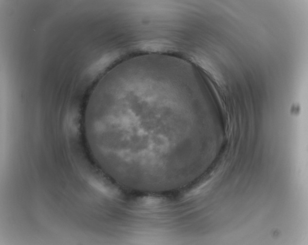 X0000095110255200712071224