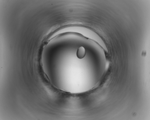 X0000095110256200712071224