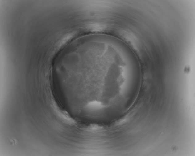 X0000095110257200712071224