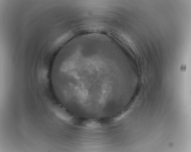 X0000095110258200712071224