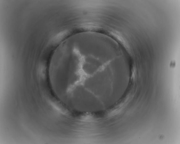 X0000095110259200712071224