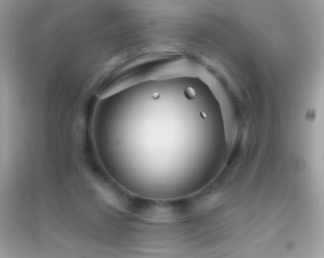 X0000095110260200712071224