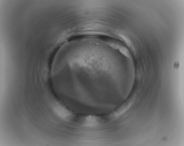 X0000095110261200712071224