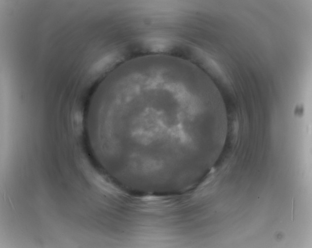 X0000095110262200712071224