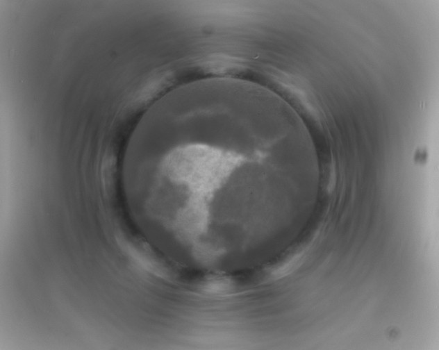 X0000095110263200712071224