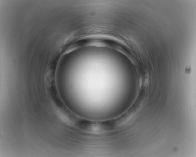 X0000095110264200712071224