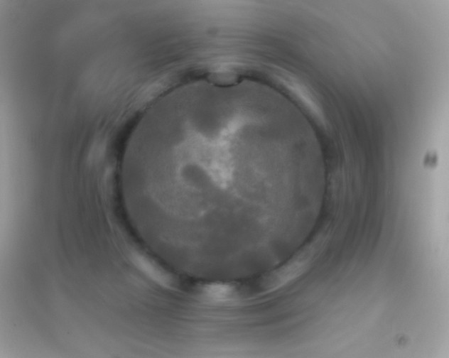 X0000095110265200712071224