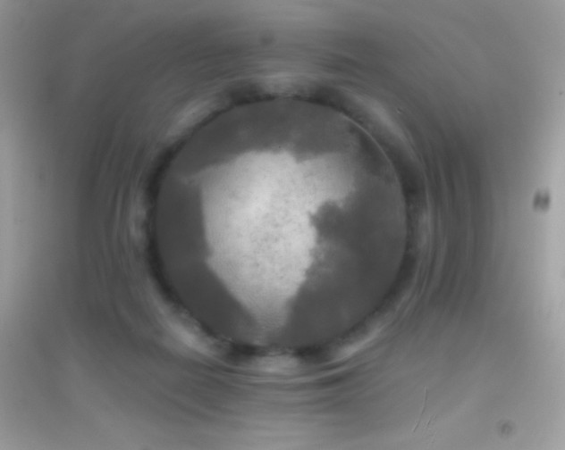 X0000095110266200712071224