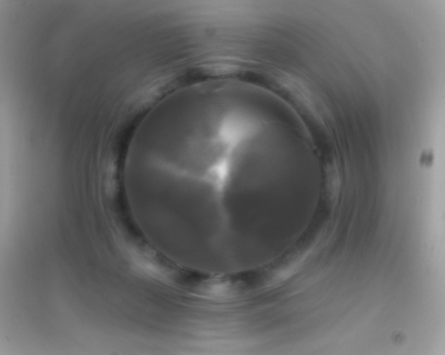 X0000095110267200712071224