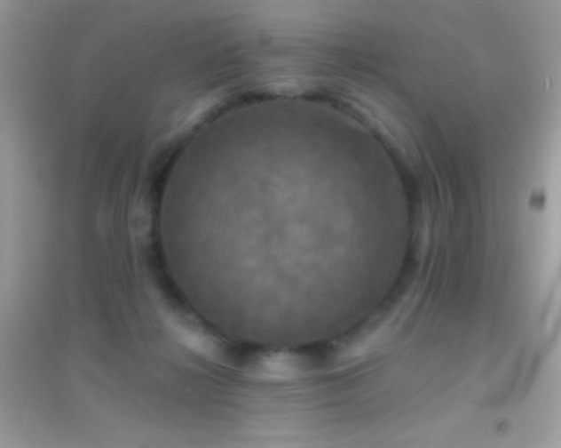 X0000095110268200712071224