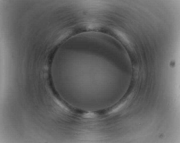 X0000095110269200712071224