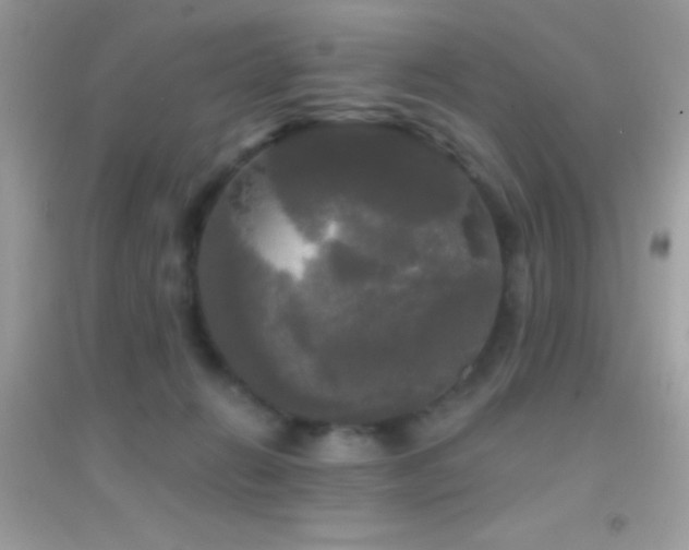 X0000095110270200712071224