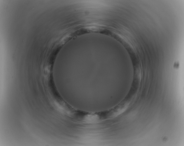 X0000095110271200712071224