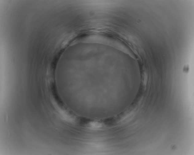 X0000095110272200712071224