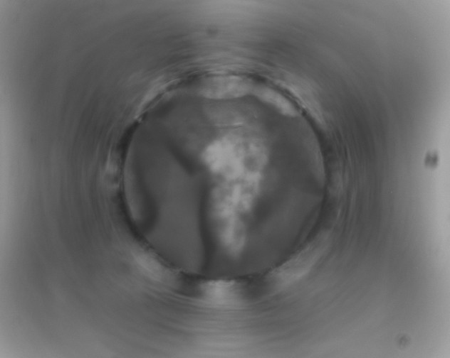 X0000095110273200712071224