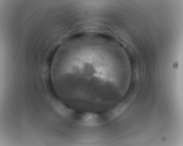 X0000095110274200712071224