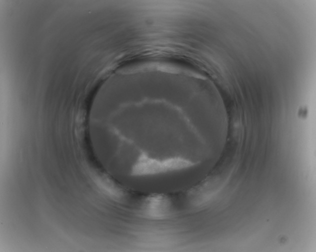 X0000095110275200712071224