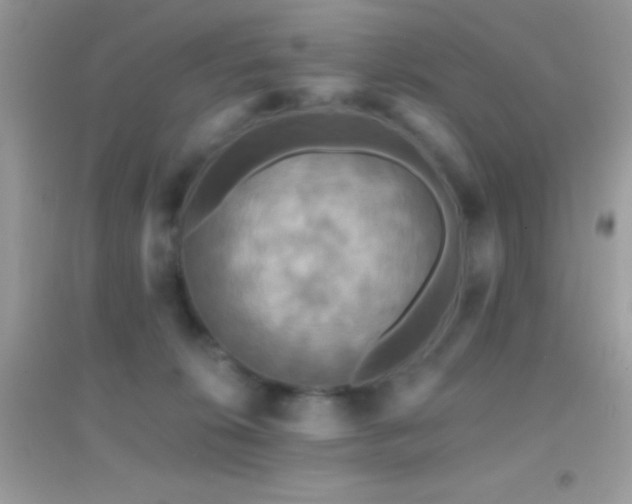 X0000095110276200712071224