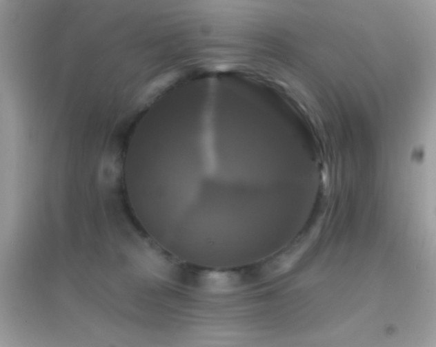 X0000095110277200712071224