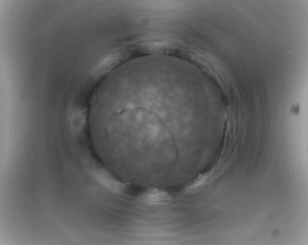 X0000095110278200712071224