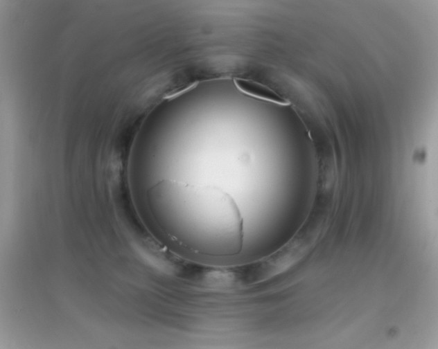 X0000095110279200712071224