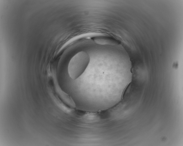 X0000095110280200712071224