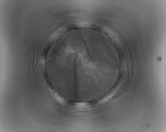 X0000095110281200712071224