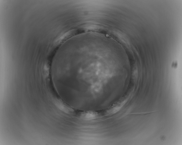 X0000095110282200712071224