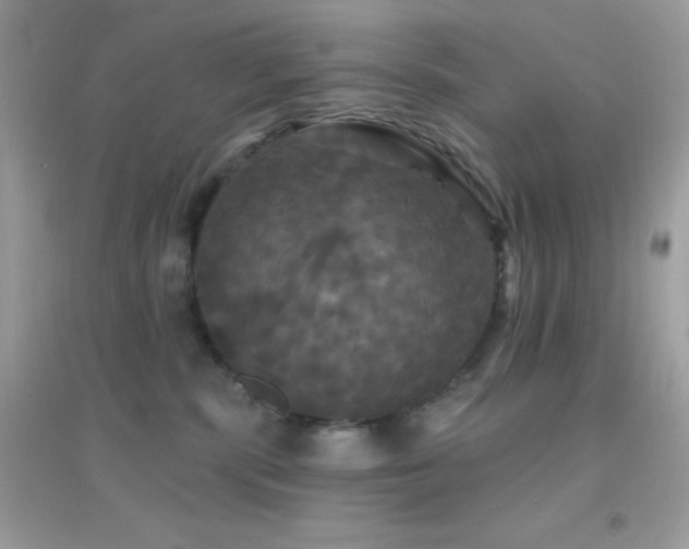 X0000095110283200712071224