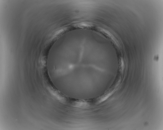 X0000095110284200712071224