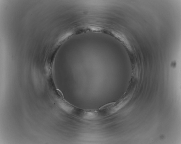 X0000095110285200712071224