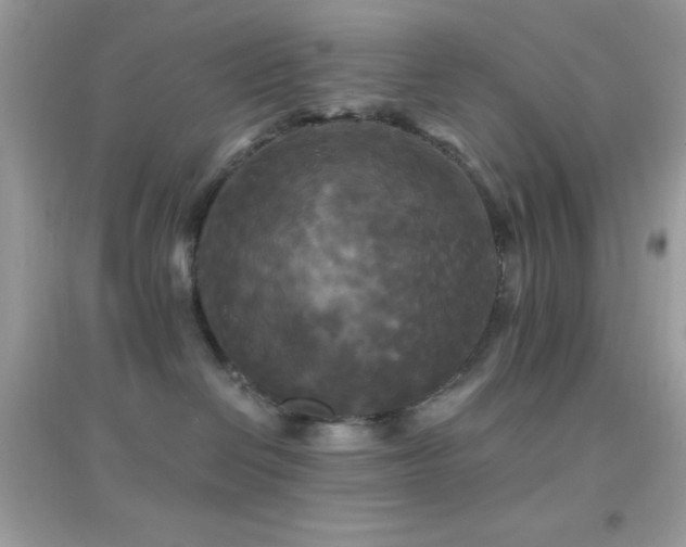 X0000095110286200712071224