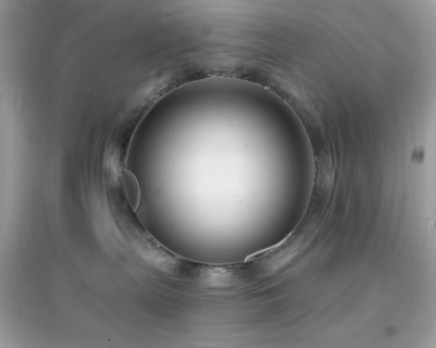 X0000095110287200712071224