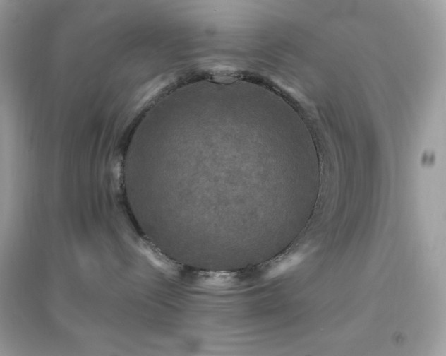 X0000095110288200712071224