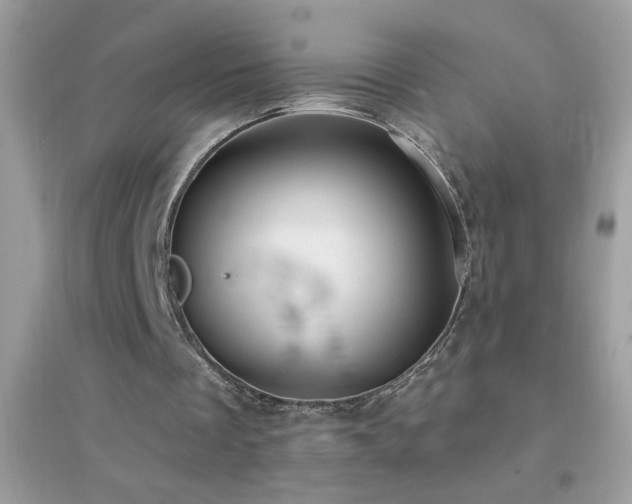 X0000095110289200712071223