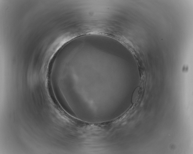 X0000095110290200712071223