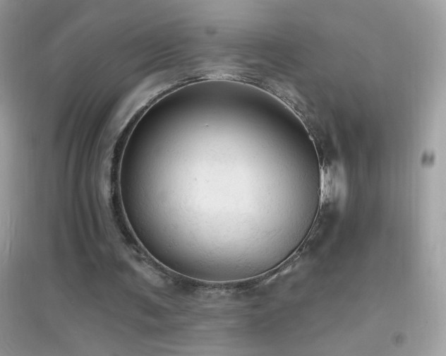 X0000095110291200712071223