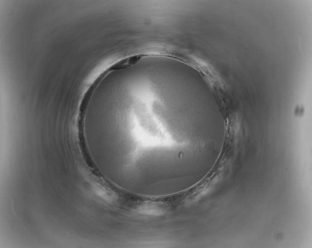 X0000095110292200712071223