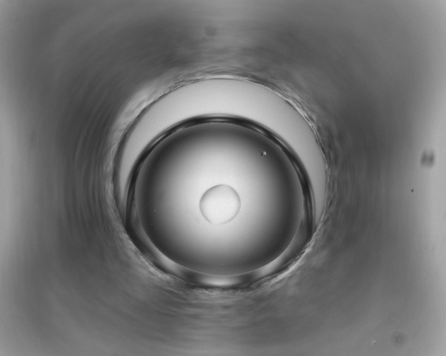 X0000095110293200712071223