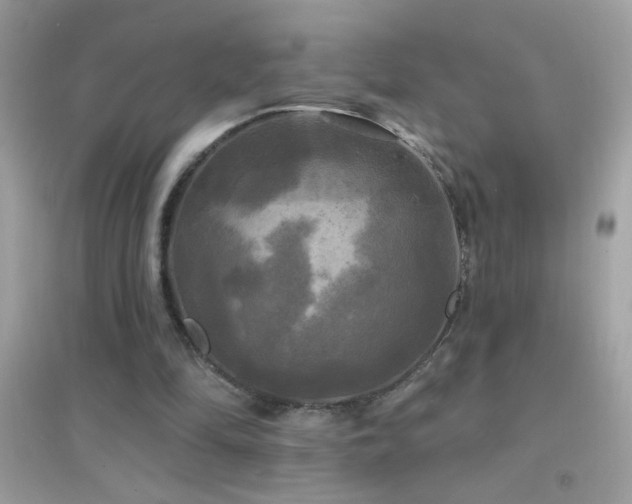 X0000095110294200712071223