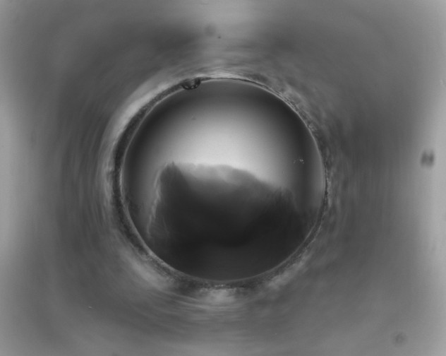 X0000095110295200712071223