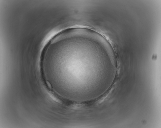 X0000095110296200712071223