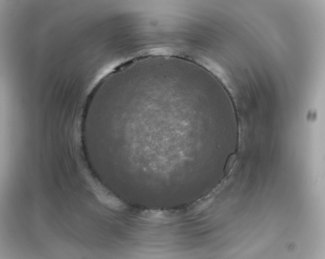 X0000095110297200712071223